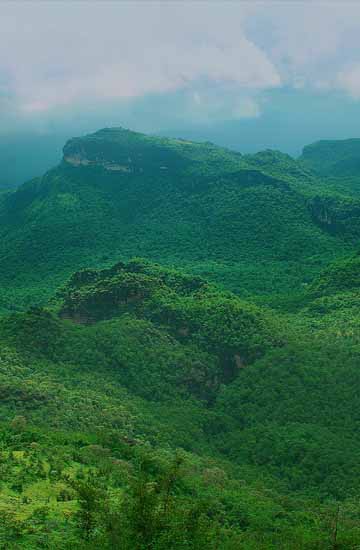 Best of Madhya Pradesh Tour Packages